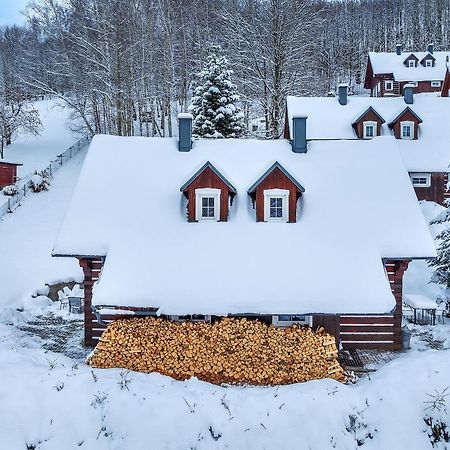 Modern Chalet Na Zlatniku Zlata Olesnice  Екстер'єр фото