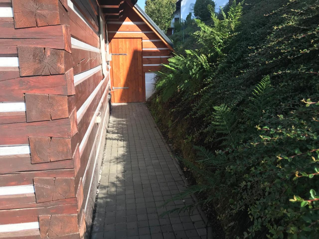 Modern Chalet Na Zlatniku Zlata Olesnice  Екстер'єр фото